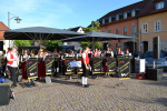 DSC_0203.jpg